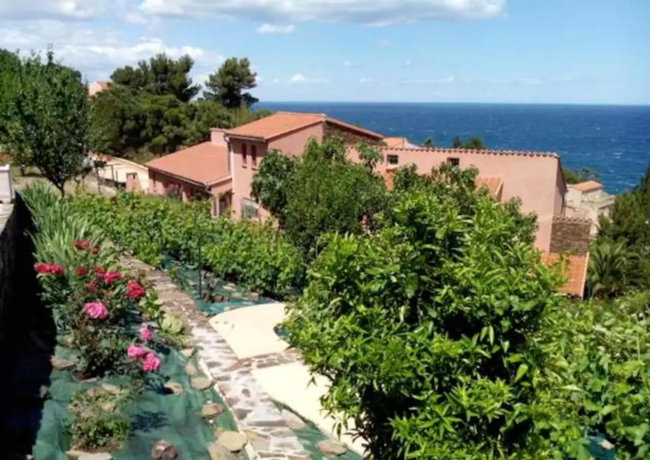 Appartement Studio a Collioure a 400 m de la plage avec vue sur la mer jardin clos et wifi Extérieur photo