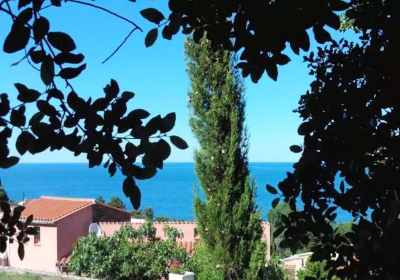 Appartement Studio a Collioure a 400 m de la plage avec vue sur la mer jardin clos et wifi Extérieur photo